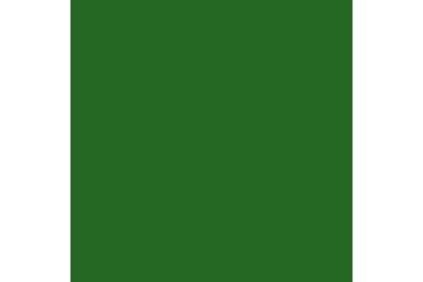 VALLEJO 72105 Mutation Green 17ml