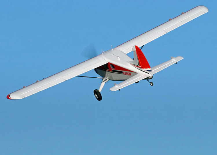 Beaver 2000mm PNP FMS - 3