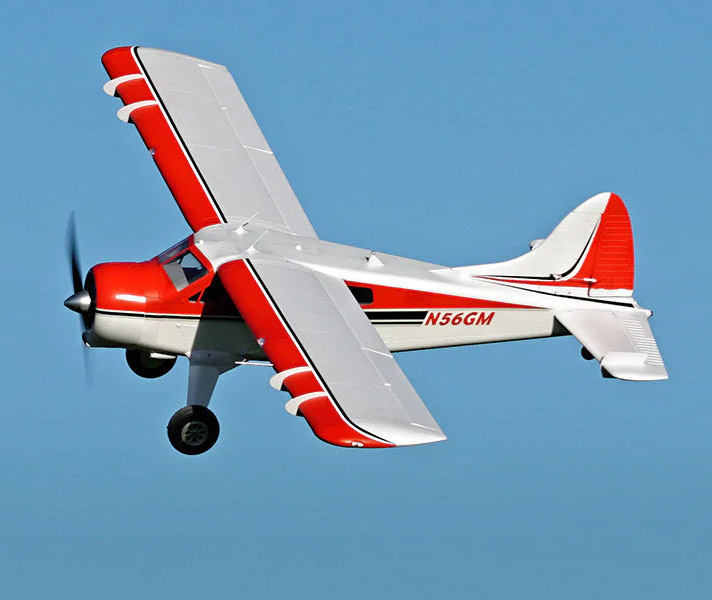 Beaver 2000mm PNP FMS - 6