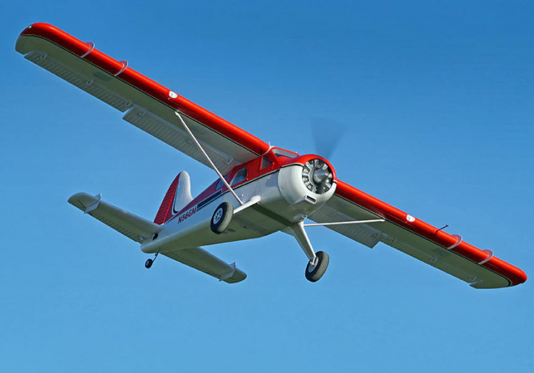 Beaver 2000mm PNP FMS - 5