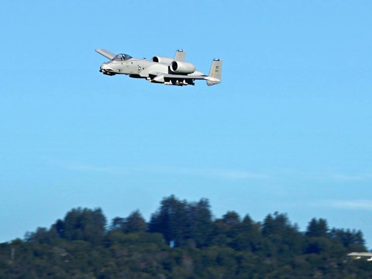 A-10 Thunderbolt II with two 70mm Ducted Fans PNP - 6