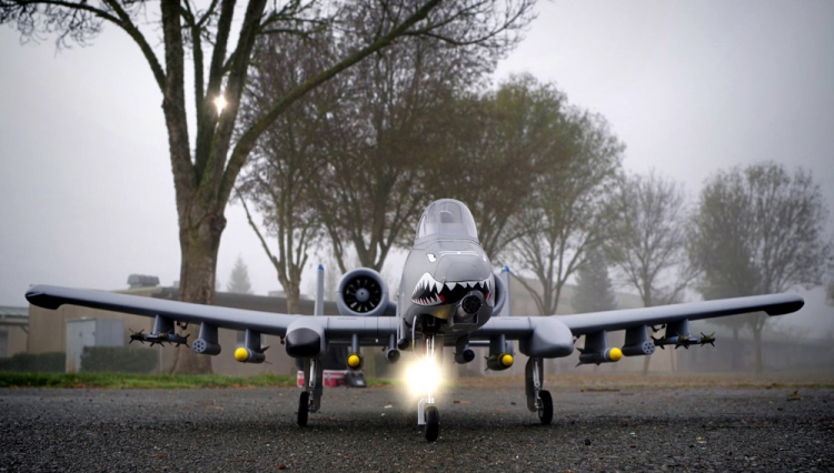 A-10 Thunderbolt II with two 70mm Ducted Fans PNP - 14