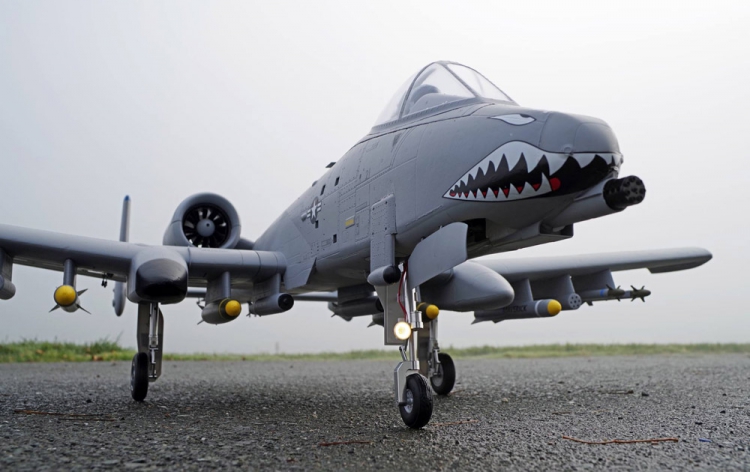 A-10 Thunderbolt II with two 70mm Ducted Fans PNP - 12