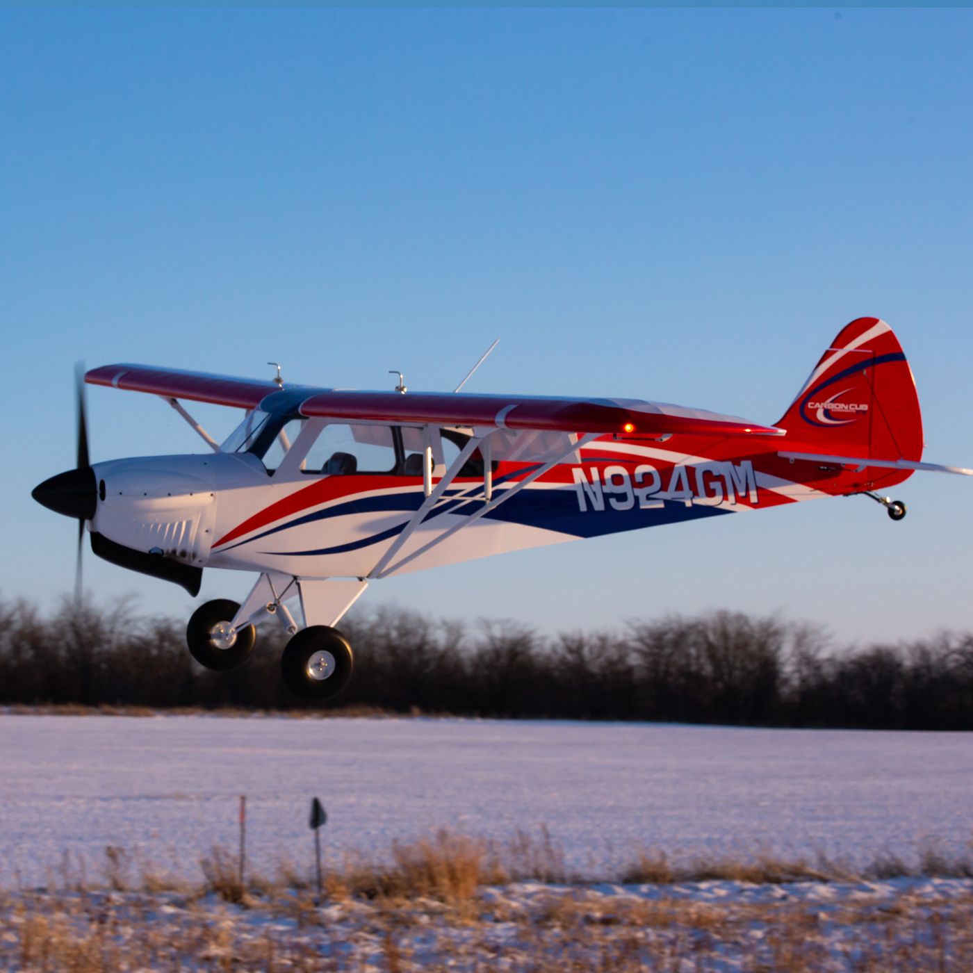 Hangar 9 Carbon Cub FX-3 100-200cc ARF - 2
