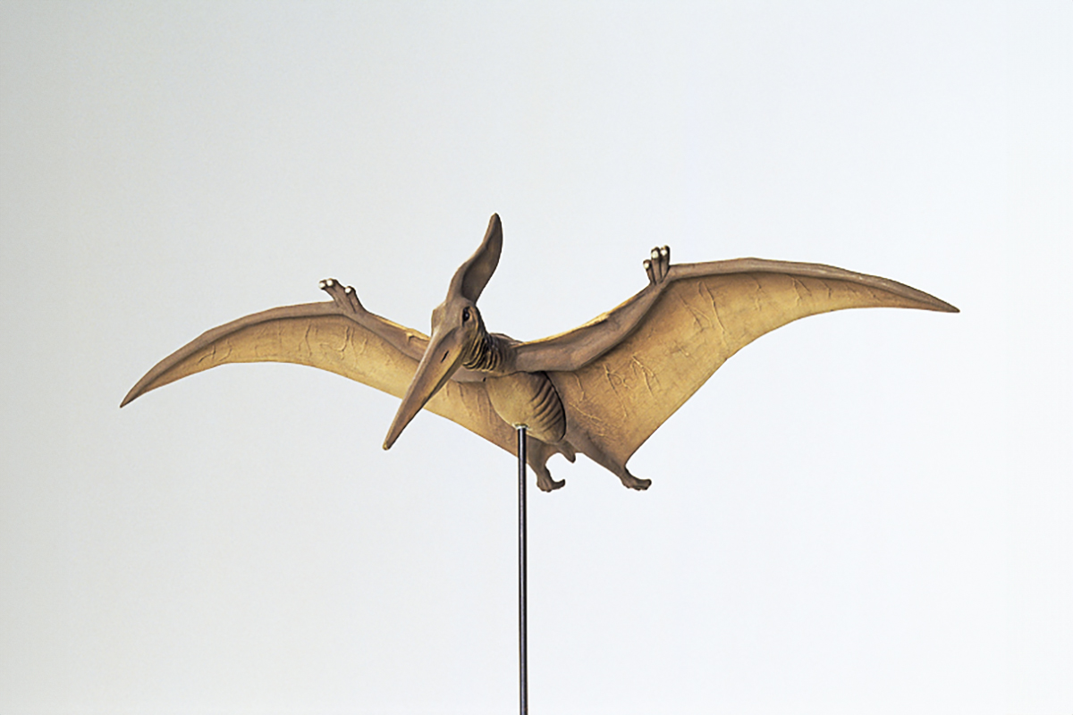 Tamiya 60204 1/35 Pteranodon