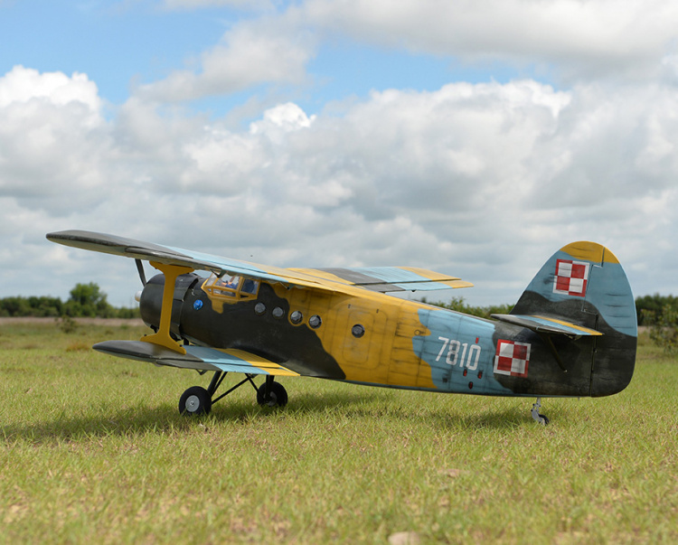 Black Horse Antonov An-2 30-35cc 2425mm vingspan - 2