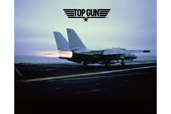 Revell 3865 1:48 F-14 A Tomcat 'Top Gun'