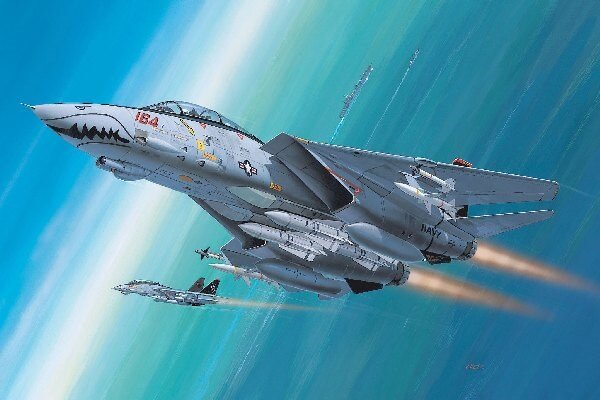 Revell 4049 F-14D Super Tomcat