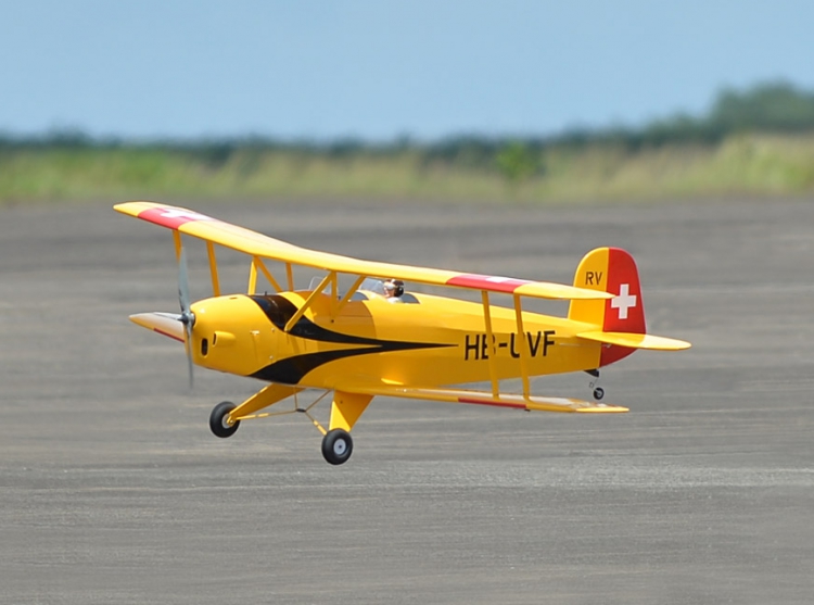 Black Horse Bucker BU 131 Jungmann 1.20 1850mm GP/EP ARF - 3