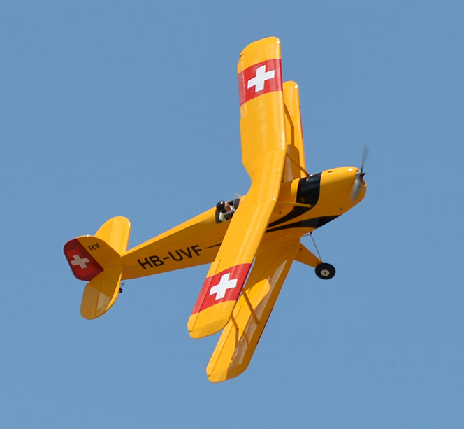 Black Horse Bucker BU 131 Jungmann 1.20 1850mm GP/EP ARF - 5