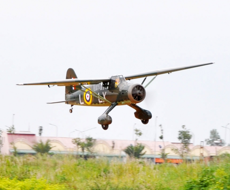 Black Horse Westland Lysander 35cc 1/6 2540mm GP/EP ARF - 8