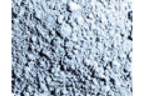VALLEJO 73101 Pigment pulver titanium hvid