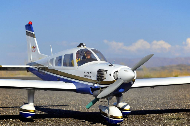 Seagull Cherokee ARF 46-55 storlek - 3