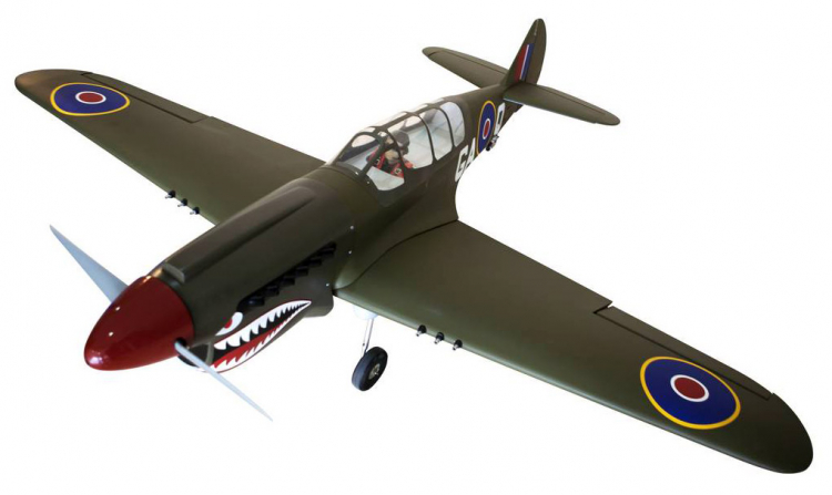 Seagull P-40N Warhawk Shark med el landställ