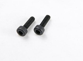 Carburetor screws