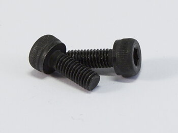 Carburetor screws