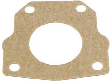 Regulator gasket