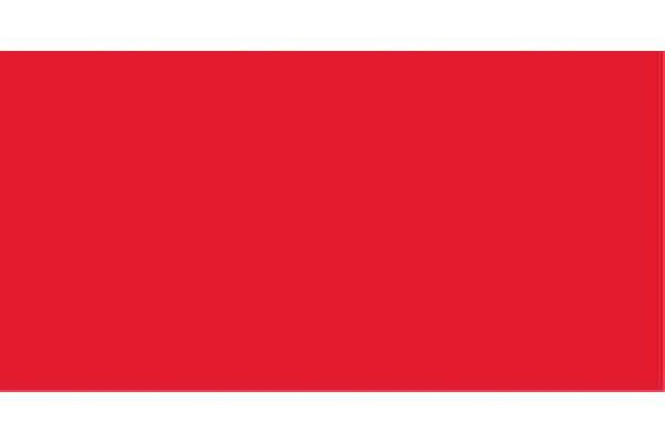 VALLEJO 63034 Scarlet Fluo , - Vallejo Premium 200 ml