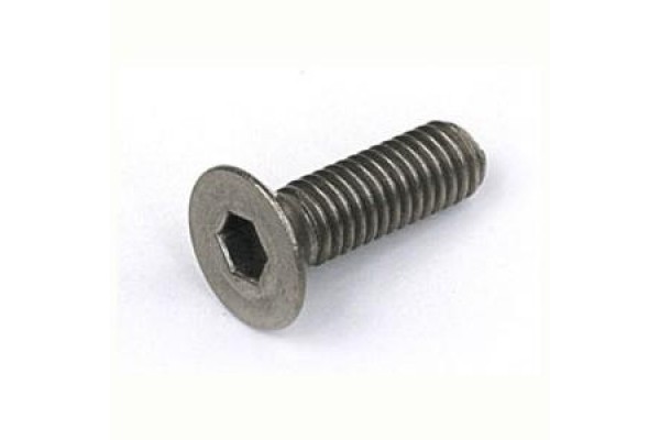 Titanium Hex Socket Flat Head