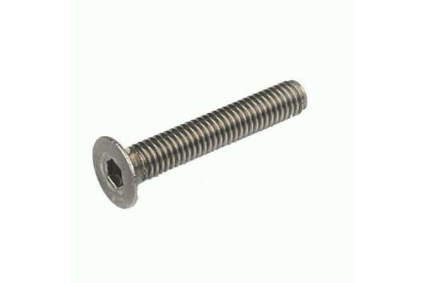 Titanium Hex Socket Flat Head