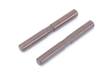 Pro Pin 2.5mmx21.25mm (pr)