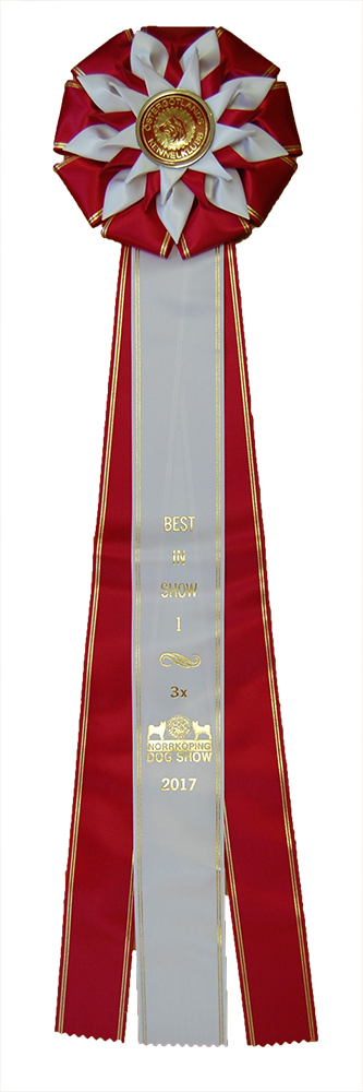 6288 - Rosette für Pferd, Hund, Veranstaltung, 71 cm - 6