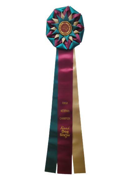 6288 - Rosette für Pferd, Hund, Veranstaltung, 71 cm