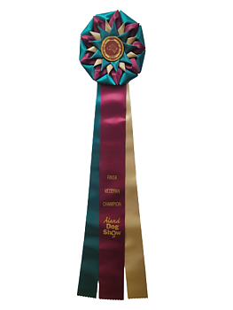 6288 - Rosette für Pferd, Hund, Veranstaltung, 71 cm