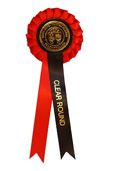 1001 - Schleife 1 Rosette 2 Bänder