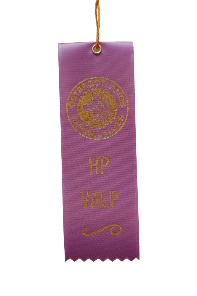 6201 - Ribbon with print 15x5 cm with gold cord - 3