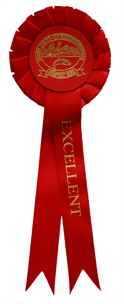 1011 - Schleife 1 Rosette 2 Bänder fülliger Faltung - 12