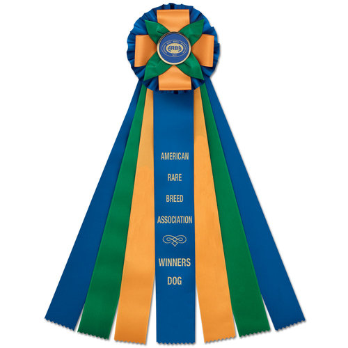 6236 - Rosette für Pferd, Hund, Veranstaltung, 56 cm
