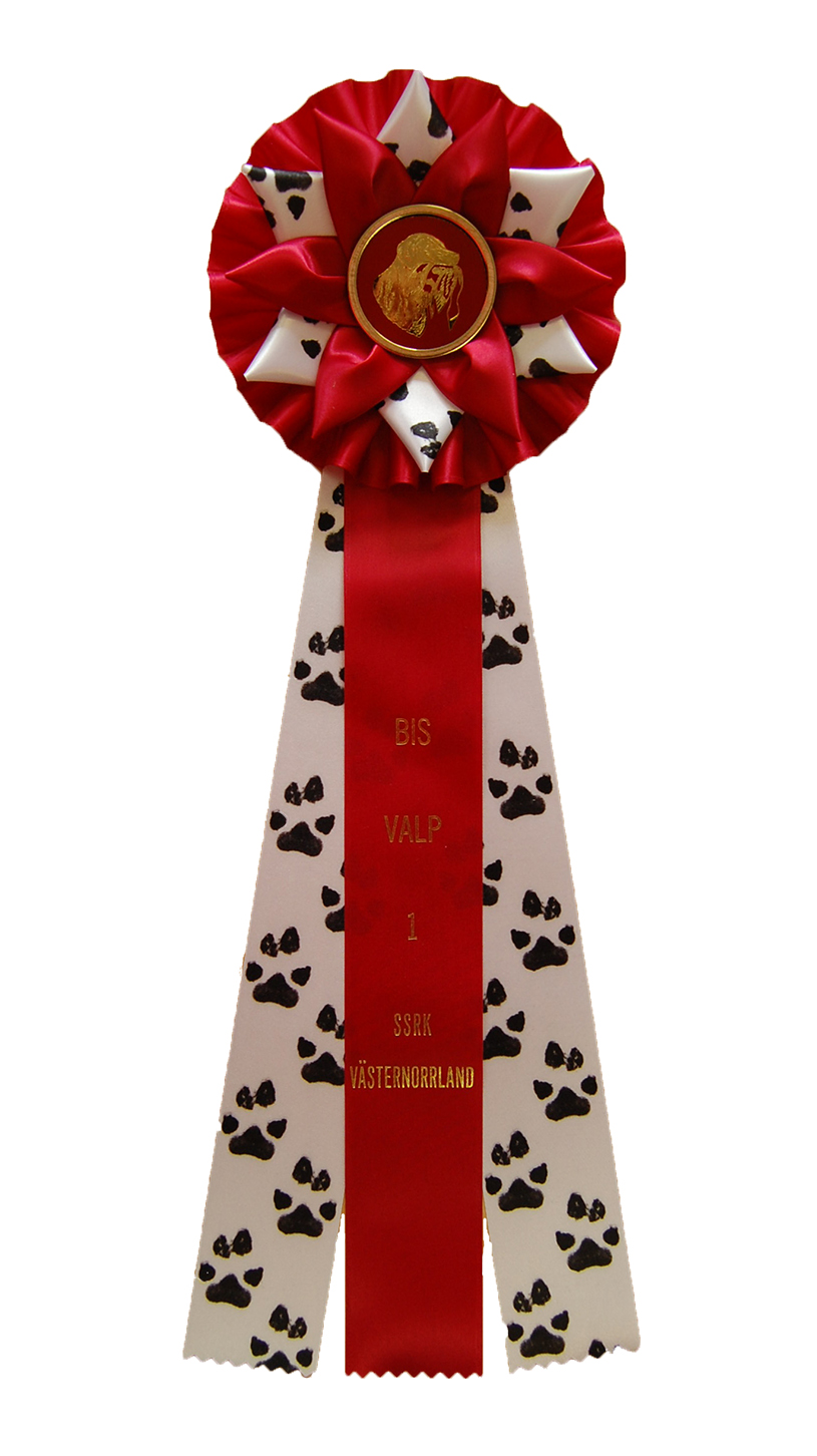 6263 - Rosette für Pferd, Hund, Veranstaltung, 45 cm - 6