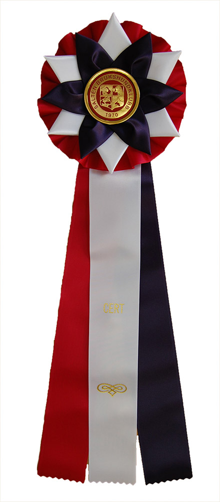 6263 - Rosette für Pferd, Hund, Veranstaltung, 45 cm - 5