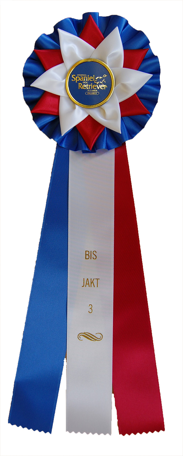 6263 - Rosette für Pferd, Hund, Veranstaltung, 45 cm - 7