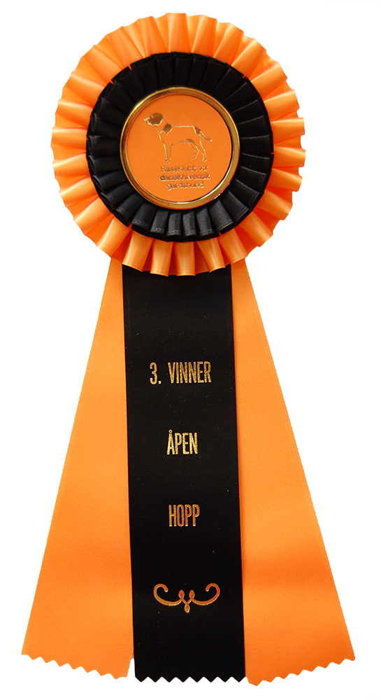 62023 - Rosette for horse, dog, event, 30 cm - 11