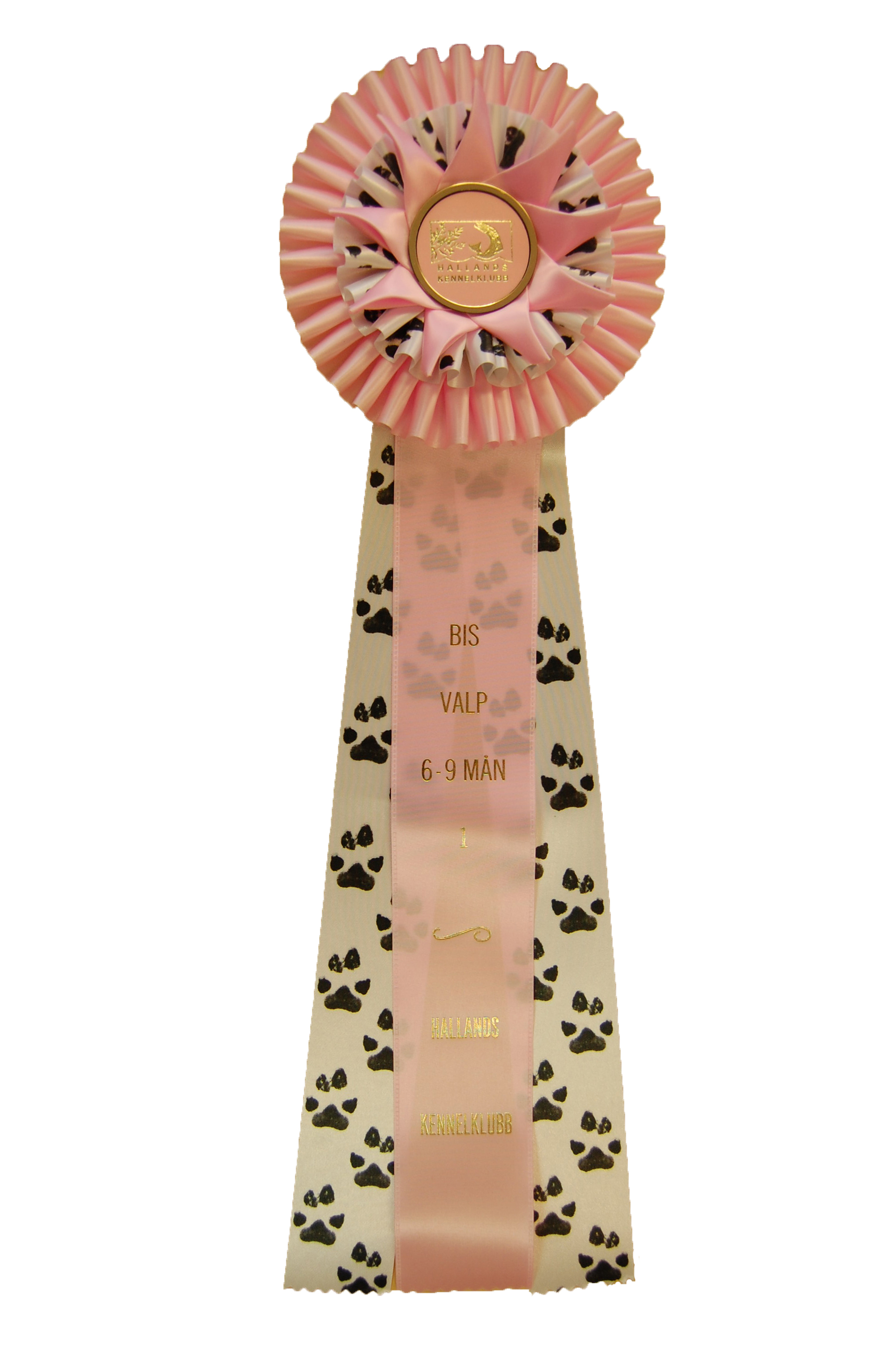 6291 - Rosett för häst, hund, event, 56 cm - 5