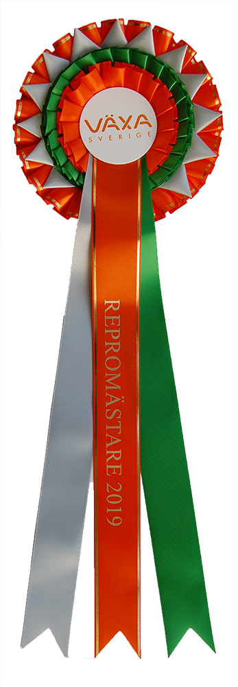 1026 - Rosett, 3 kransar, stjärnkrans, 3 band  - 6