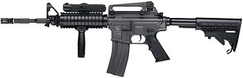 M4 R.I.S
