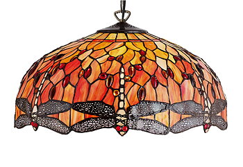 Ceiling lamp Dragonfly Ø 50cm