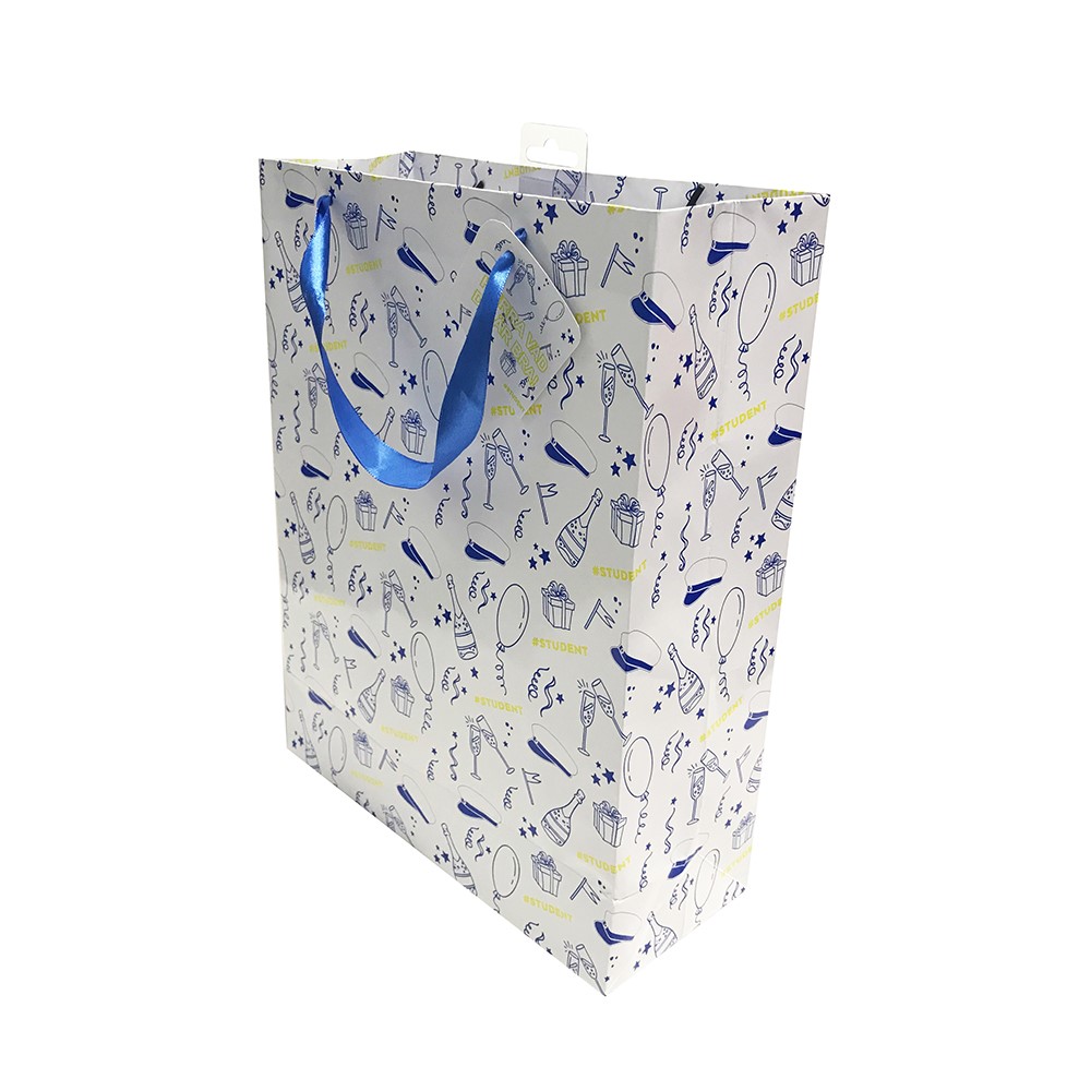 Gift bag student