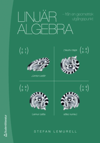 Linjär algebra - från en geometrisk utgångspunkt