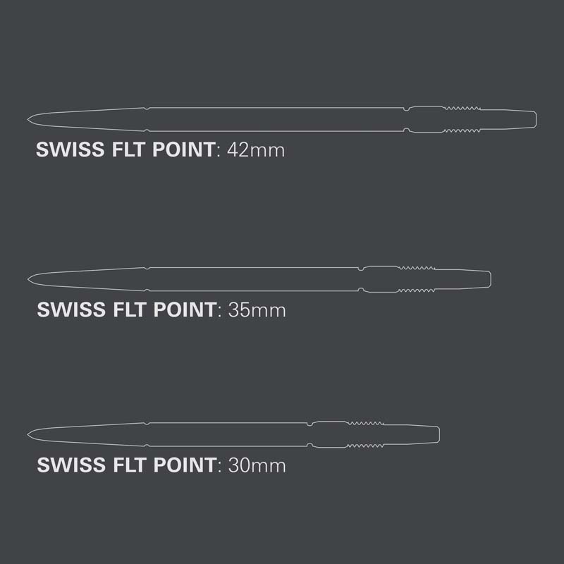 Target FLT Swiss Points Silver 42mm - 4