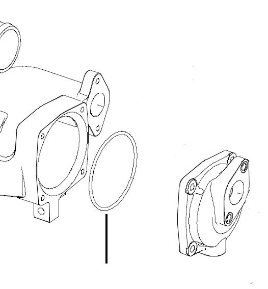 O-RING