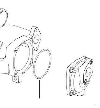 O-RING