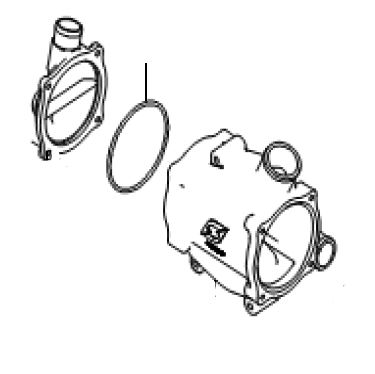 O-RING
