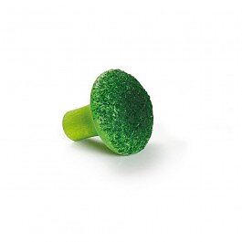 Broccoli FS