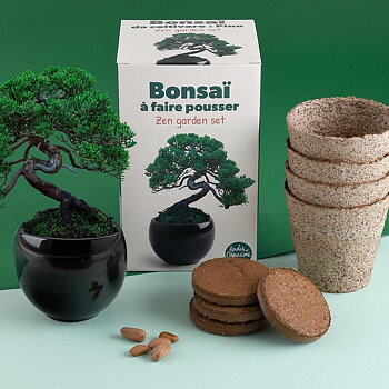 Bonsaiträd odla ditt eget WS