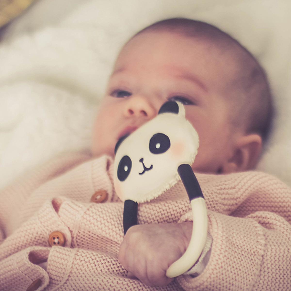 Bitring Panda WS - 2
