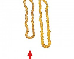 Halsband bärnsten ljust kort